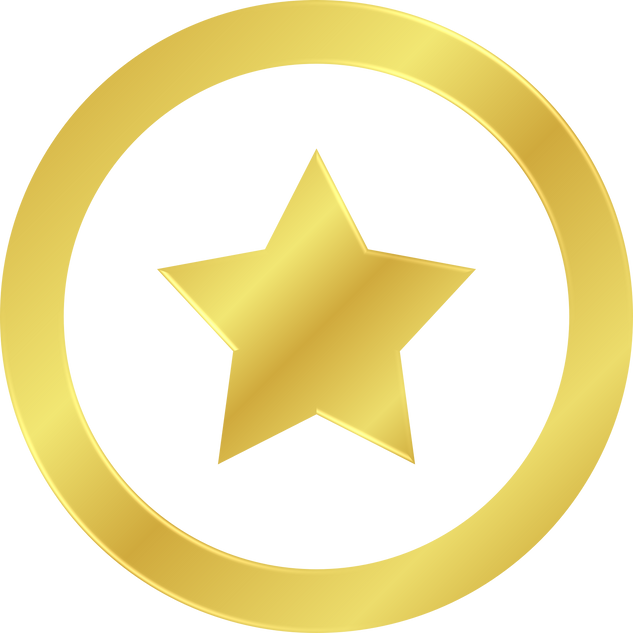 Gold Star Icon
